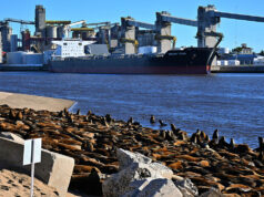 Argentina truckers end protest at Quequen grain port