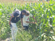 CARD Pioneer shows the world how microinsurance works in PH through community immersion