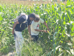 CARD Pioneer shows the world how microinsurance works in PH through community immersion