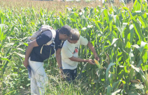 CARD Pioneer shows the world how microinsurance works in PH through community immersion