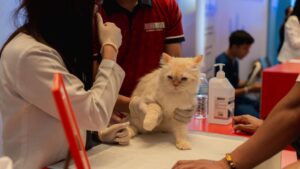 Taking care of pets  at the start of their lives