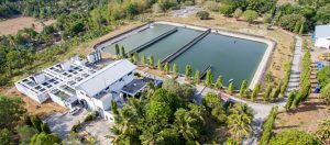 MPW earmarks P3.81-B capex for water projects