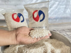 900 more distribution sites planned for P20 rice program