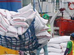 PHL rice imports may hit 4.8 MMT
