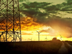 Maharlika backs proposal to tap fund for energy diversification