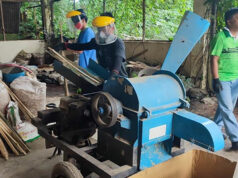 Bamboo pellets seen as alternative fuel amid series of price hikes — DOST