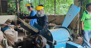 Bamboo pellets seen as alternative fuel amid series of price hikes — DOST