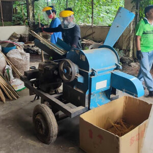 Bamboo pellets seen as alternative fuel amid series of price hikes — DOST