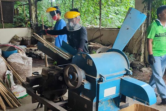 Bamboo pellets seen as alternative fuel amid series of price hikes — DOST