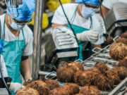 Axelum earnings grow 23% to P849.6M on higher sales