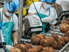 Axelum earnings grow 23% to P849.6M on higher sales