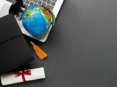 On university rankings and global asymmetries