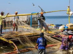 Farm output shrinks by 0.3% in Q1