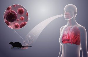 A contained hantavirus outbreak, and lessons for the world