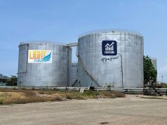 Top Line plans Cebu energy complex to boost storage capacity