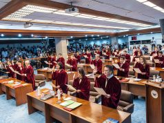 The Philippine Senate: From institutional guardrail to systemic risks