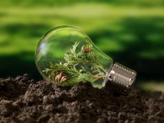 Rethinking the legal framework for forest carbon projects on public lands
